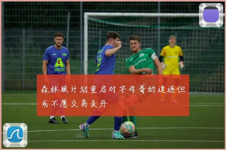 森林狼计划重启对字母哥的追逐但或不愿交易麦丹