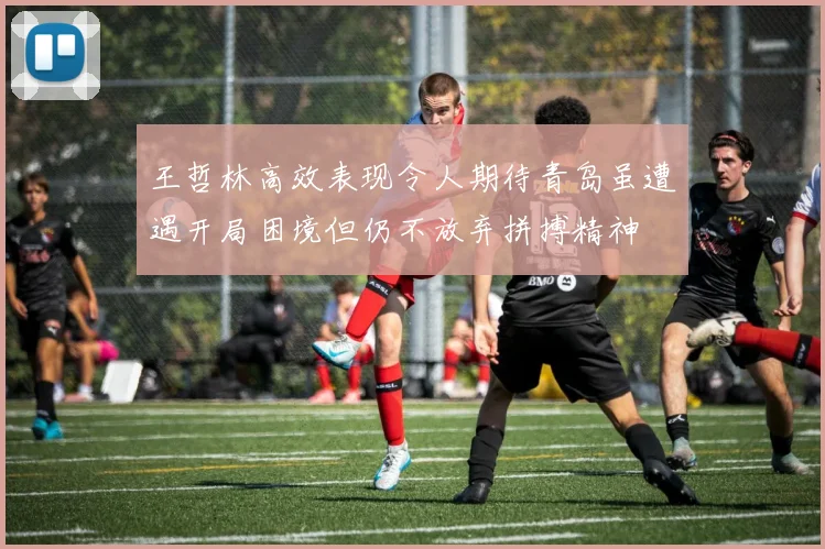 王哲林高效表现令人期待青岛虽遭遇开局困境但仍不放弃拼搏精神