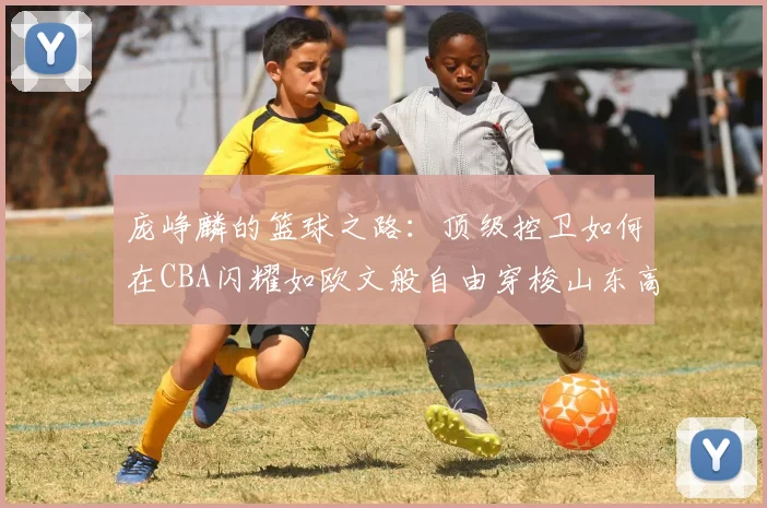 庞峥麟的篮球之路：顶级控卫如何在CBA闪耀如欧文般自由穿梭山东高速